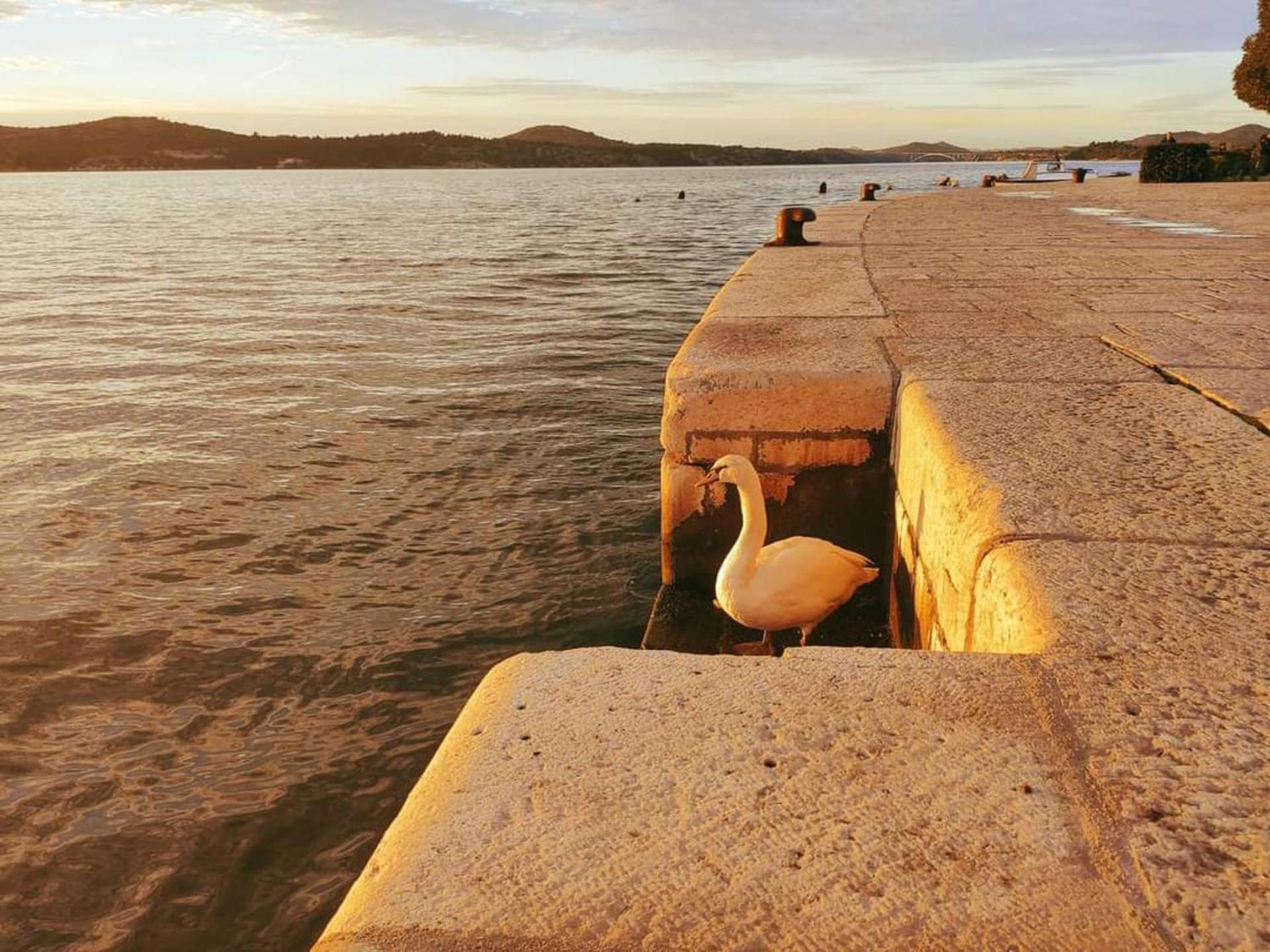 Urban Lights Hideaway - City Center Šibenik Esterno foto